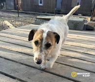 Q64tMoNhRFygHRxNDh-Axv-mxrd3NI2loG4Qd-kk6PDwwnQk7tcIeVPQr6i3xYR-gsLnDaY_Sjag7S_t3NJoSJPP