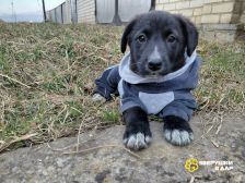 _NPfEj_78-jWK05OWk2Mj9rB9l4teweofKG-CzA4ROJy4G1C89AEtw4YrethM8gVVSBfPfKYCYoNQF_HQnJ1EyzS